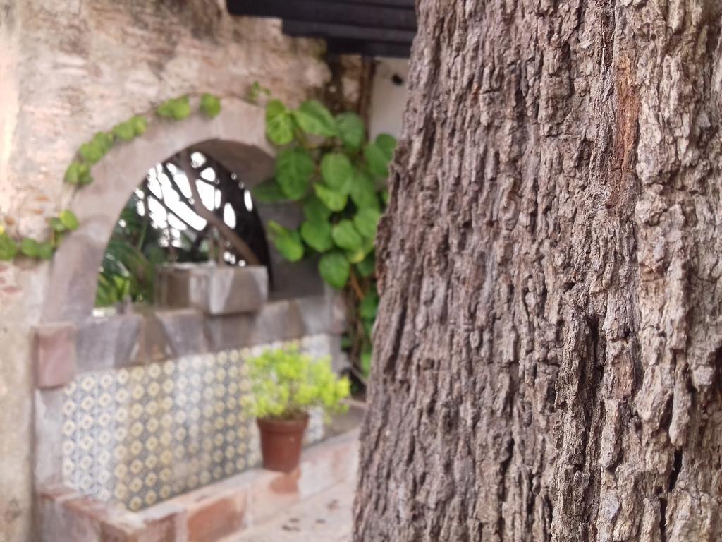 Hotel & Spa Dona Urraca Σαν Μιγκέλ ντε Αγιέντε Εξωτερικό φωτογραφία
