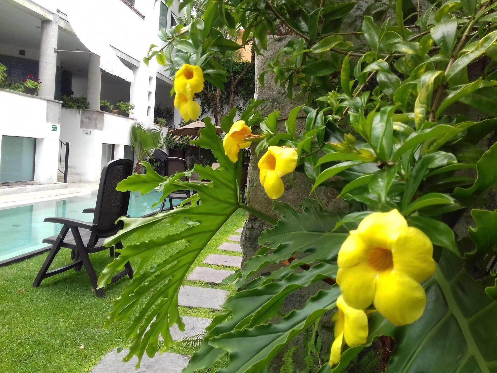 Hotel & Spa Dona Urraca Σαν Μιγκέλ ντε Αγιέντε Εξωτερικό φωτογραφία